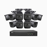 EL200 - 1080p 16 Channel Outdoor Wired Security CCTV System with 10 Cameras, 3.6 MM Lens, Smart DVR with Human & Vehicle Detection, 66 ft Infrared Night Vision, 4-in-1 Output Signal, IP67